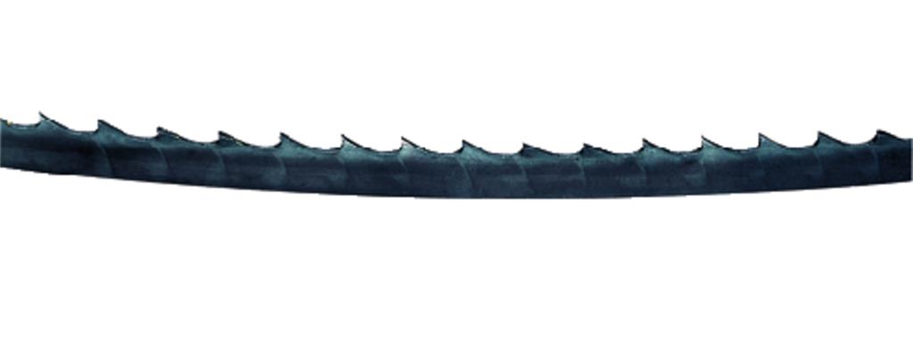 List tračne žage 8 mm širok (PE10)